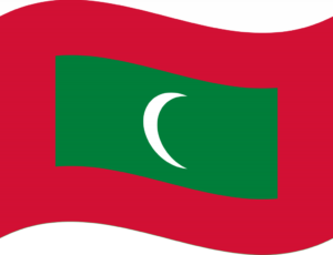 Flag_of_Maldives_Flat_Wavy-1024x785