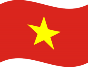 Flag_of_Vietnam_Flat_Wavy-1024x785